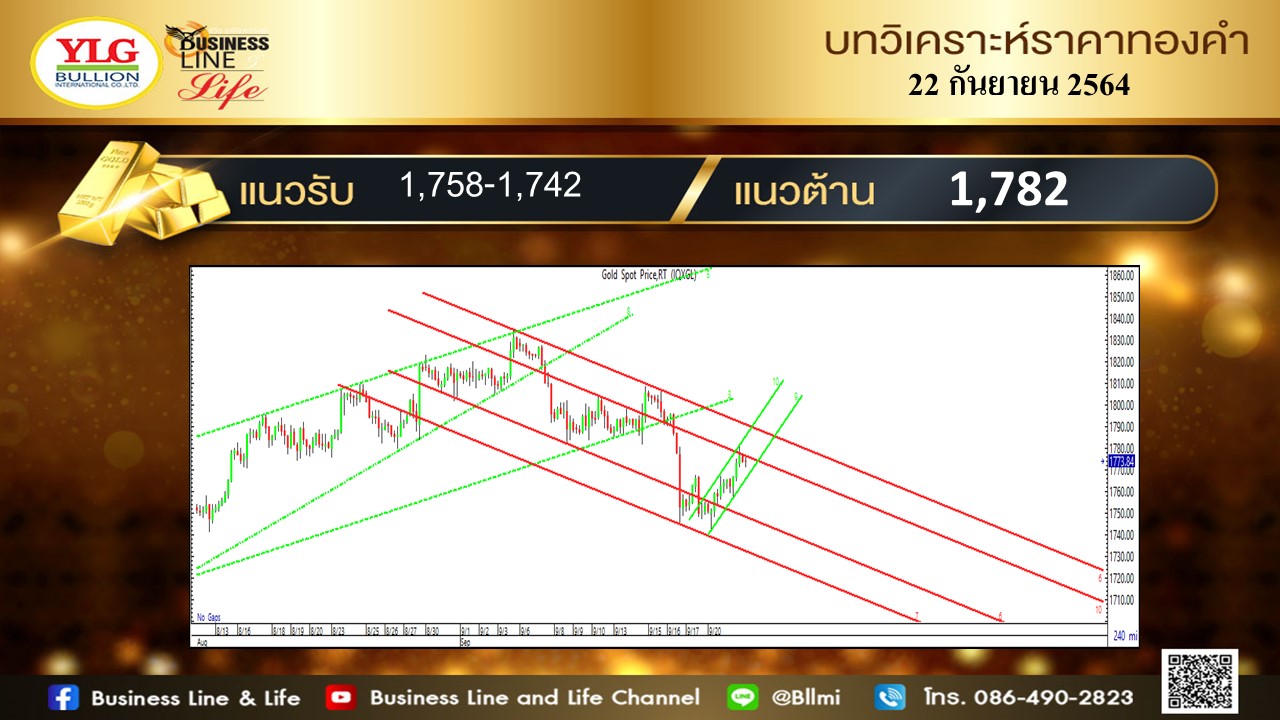 มุมมองทองคำ จาก YLG