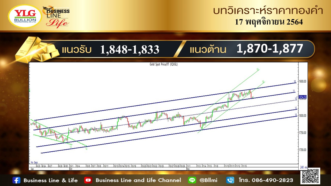 มุมมองทองคำ จาก YLG