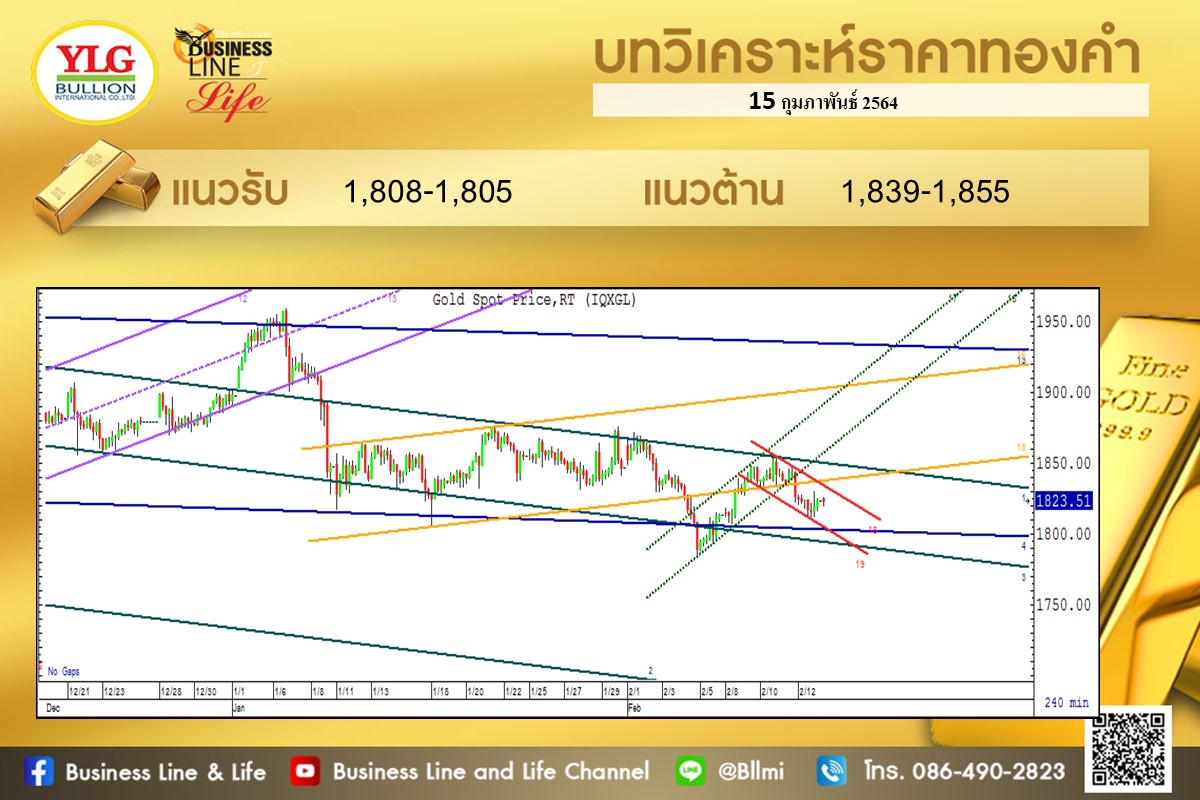 มุมมองทองคำ จาก YLG