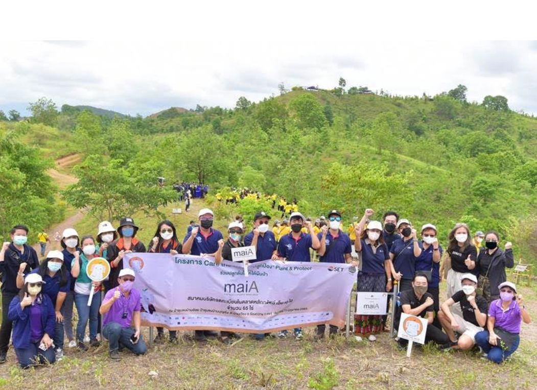 สมาคม maiA ร่วมคืนผืนป่า 65 ไร่ จ. แพร่ ในโครงการ Care the Wild “ปลูกป้อง” Plant & Protect