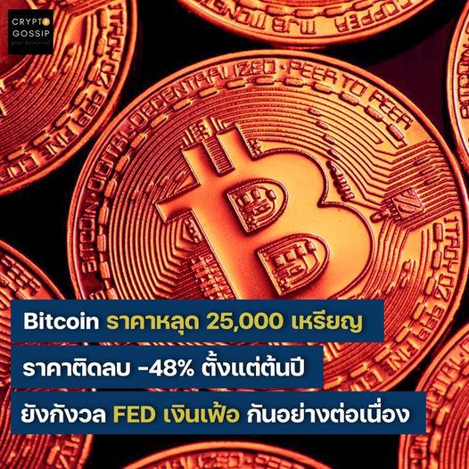 Bitcoin ราคาหลุด 24,000 เหรียญ! ราคาติดลบ -48% นับตั้งแต่ต้นปี เนื่องจากยังกลัวเรื่องเงินเฟ้อกันอย่างต่อเนื่อง