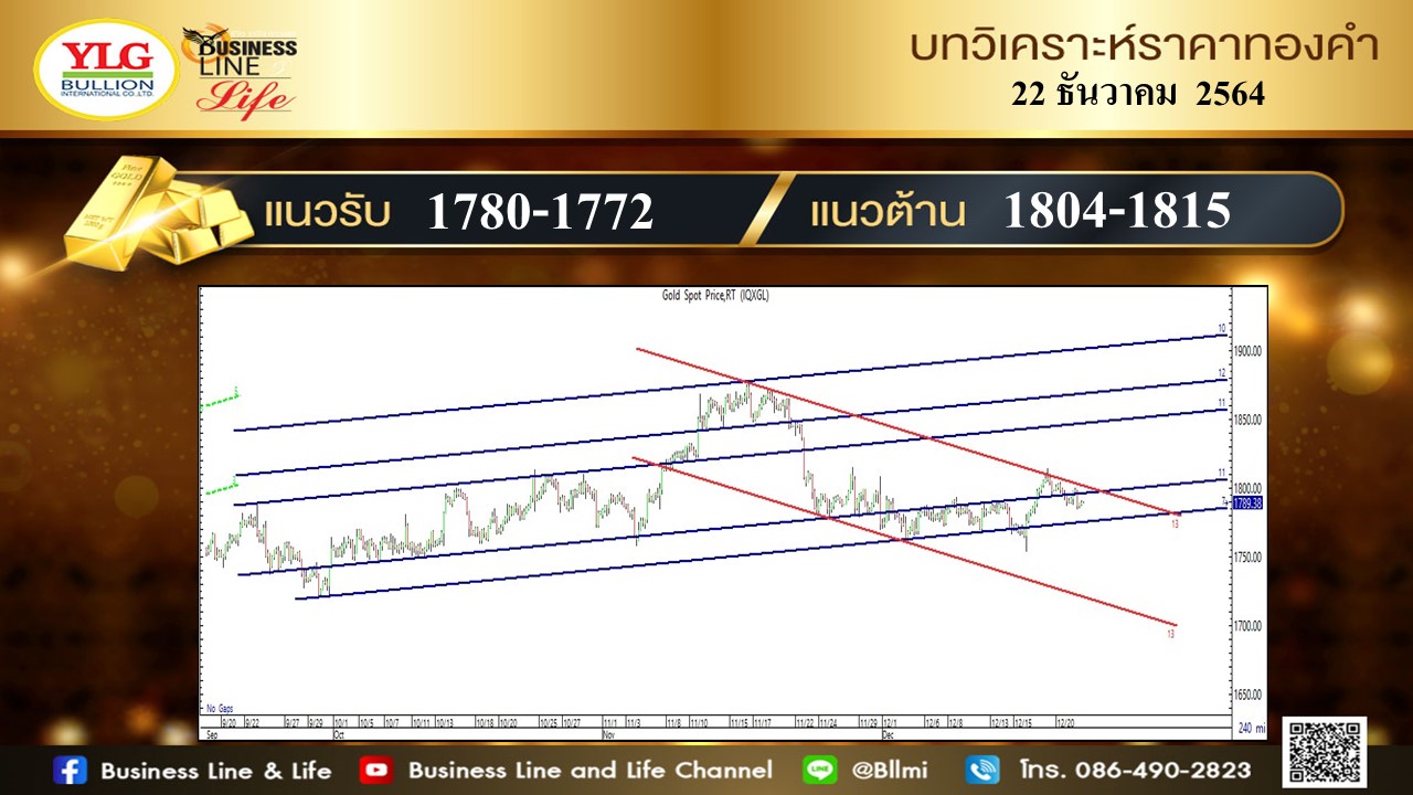 มุมมองทองคำ จาก YLG