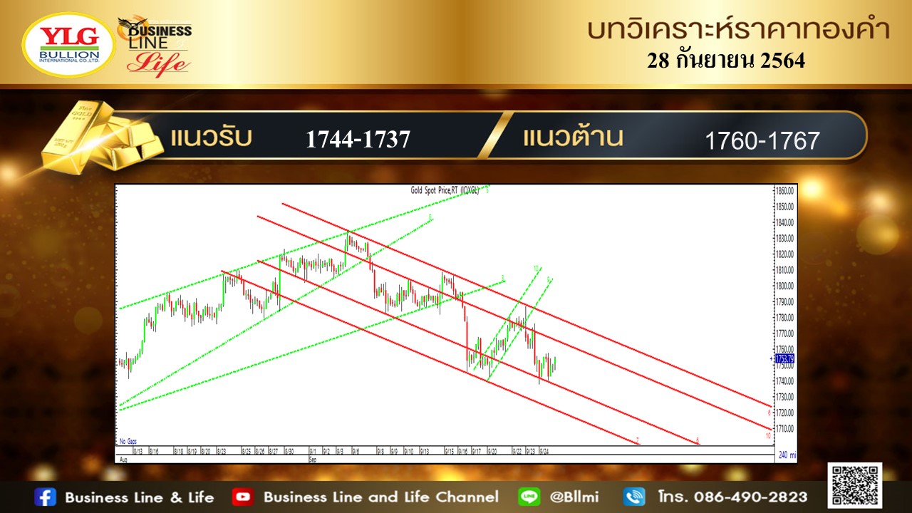 มุมมองทองคำ จาก YLG