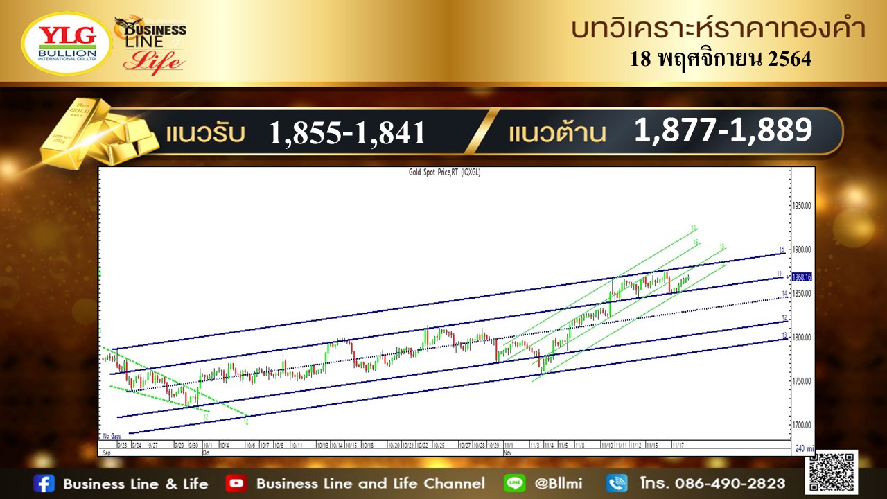 มุมมองทองคำ จาก YLG