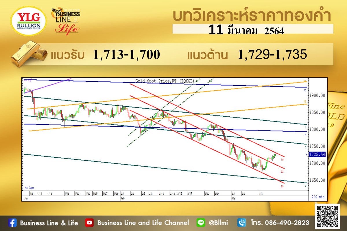 มุมมองทองคำ จาก YLG