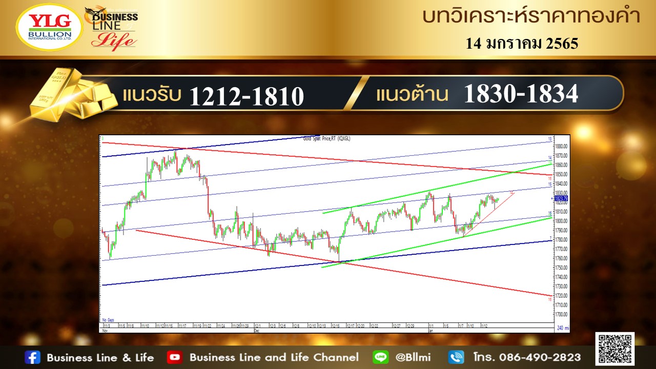 มุมมองทองคำ จาก YLG