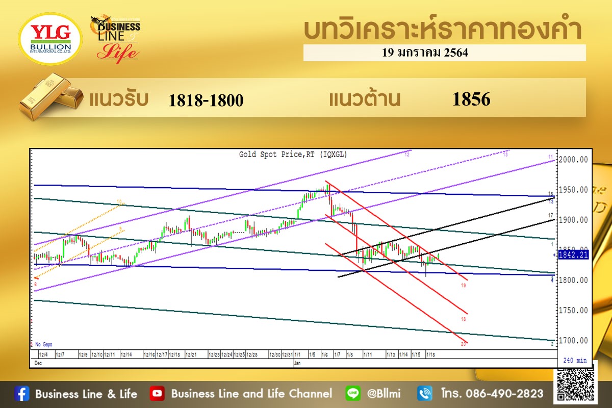 มุมมองทองคำ จาก YLG