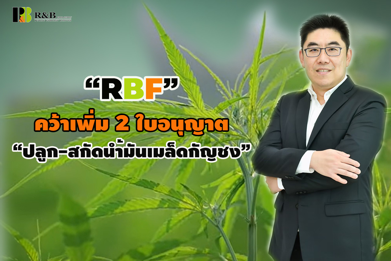 RBF ปลื้ม คว้า ใบอนุญาตเพาะปลูก สกัดน้ำมันจากเมล็ดกัญชง  จาก อย. เพิ่ม