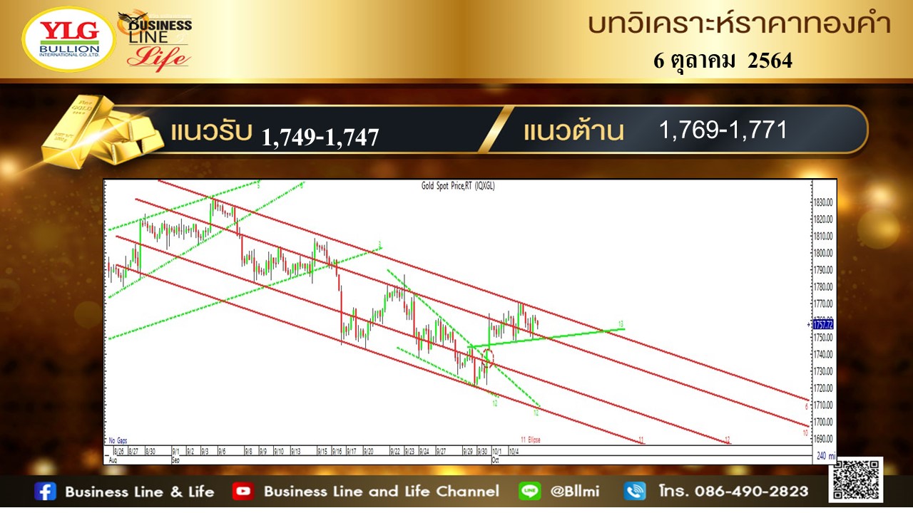 มุมมองทองคำ จาก YLG