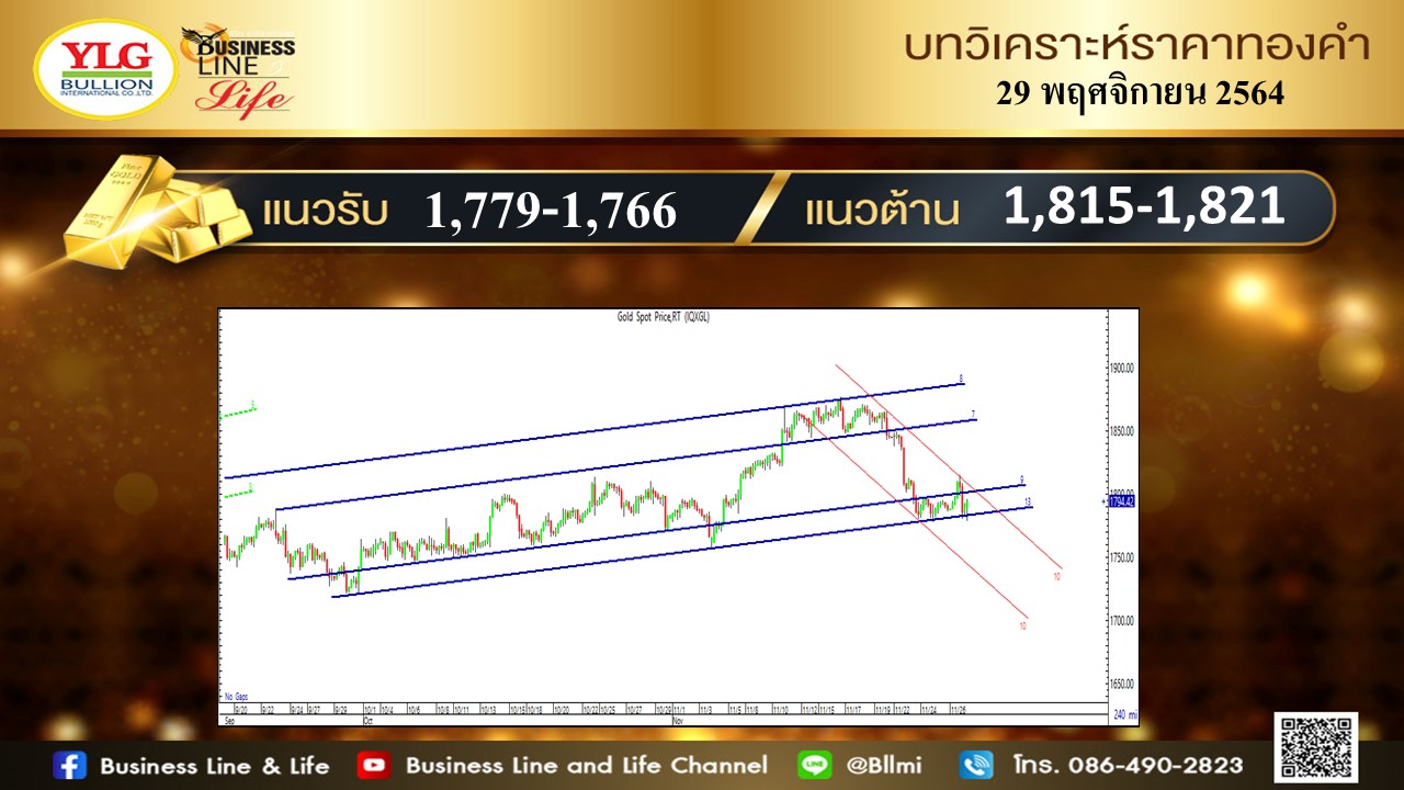 มุมมองทองคำ จาก YLG