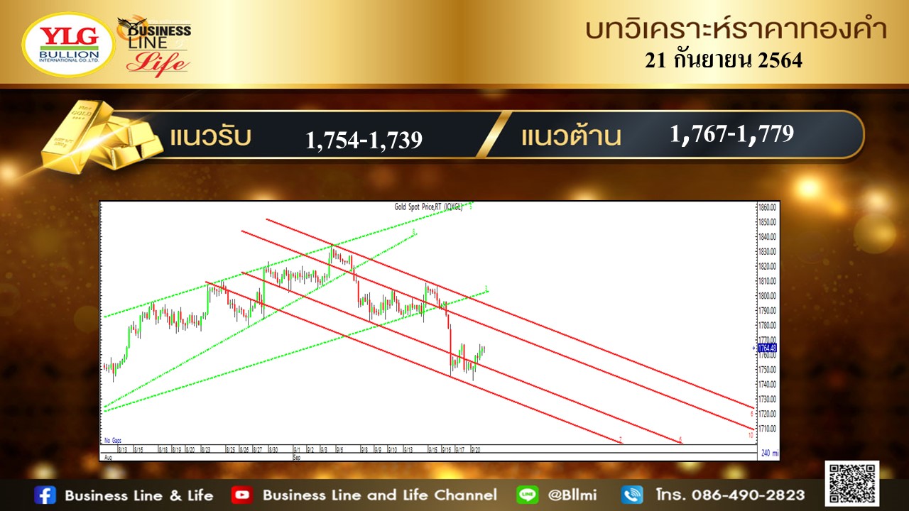 มุมมองทองคำ จาก YLG