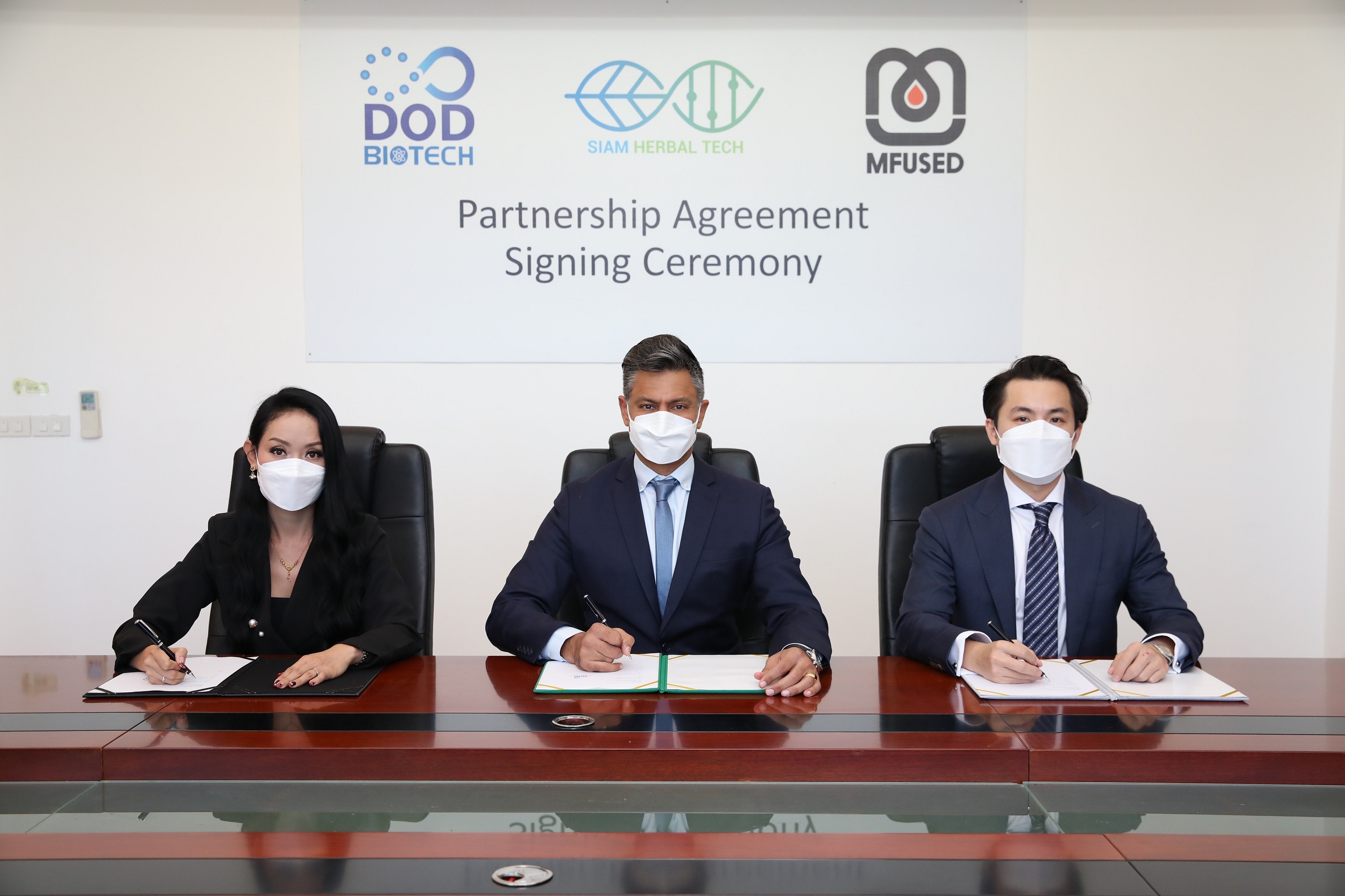 บิ๊กดีล  DOD - สยาม เฮอเบิล เทค  ดึง MFUSED Group ผู้นำธุรกิจกัญชง-กัญชาระดับโลก