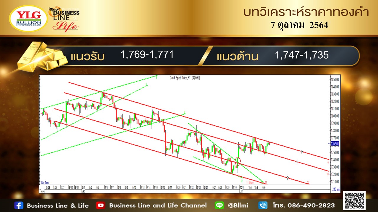 มุมมองทองคำ จาก YLG