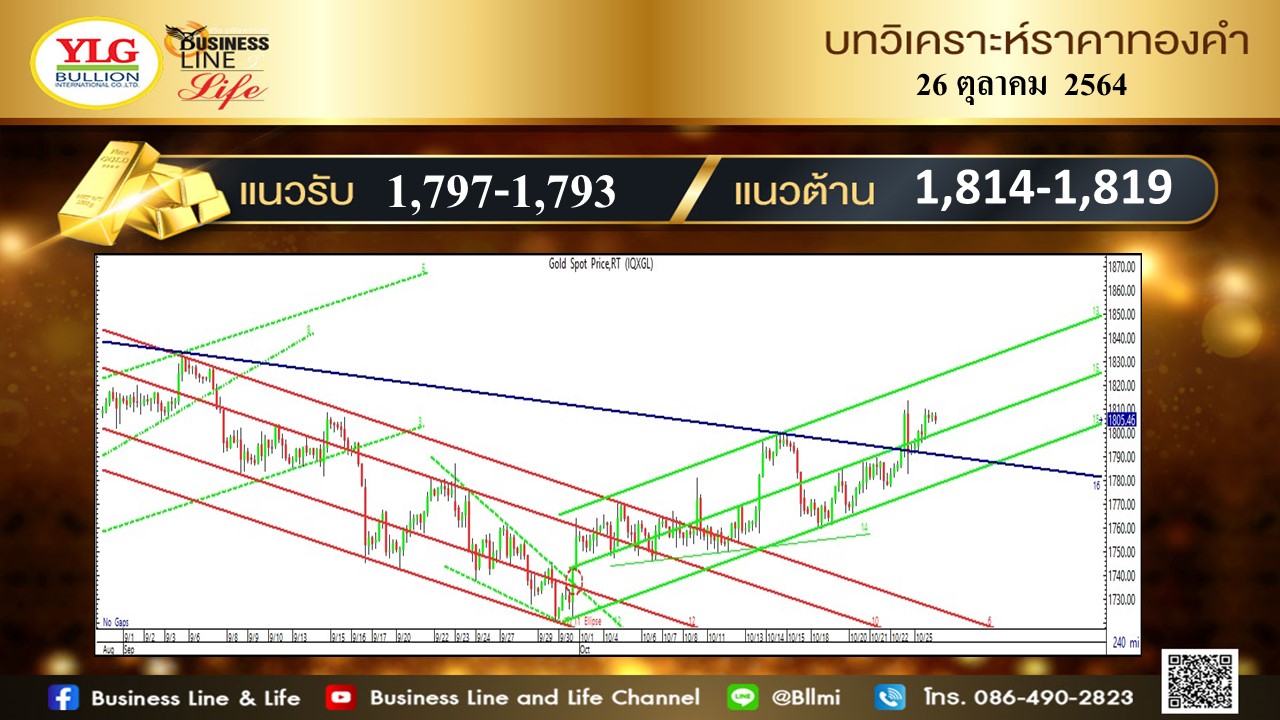 มุมมองทองคำ จาก YLG