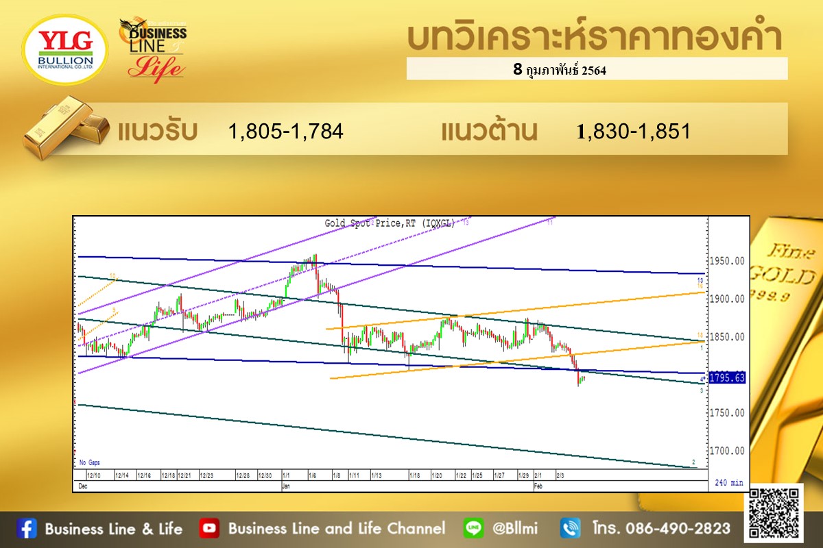 มุมมองทองคำ จาก YLG