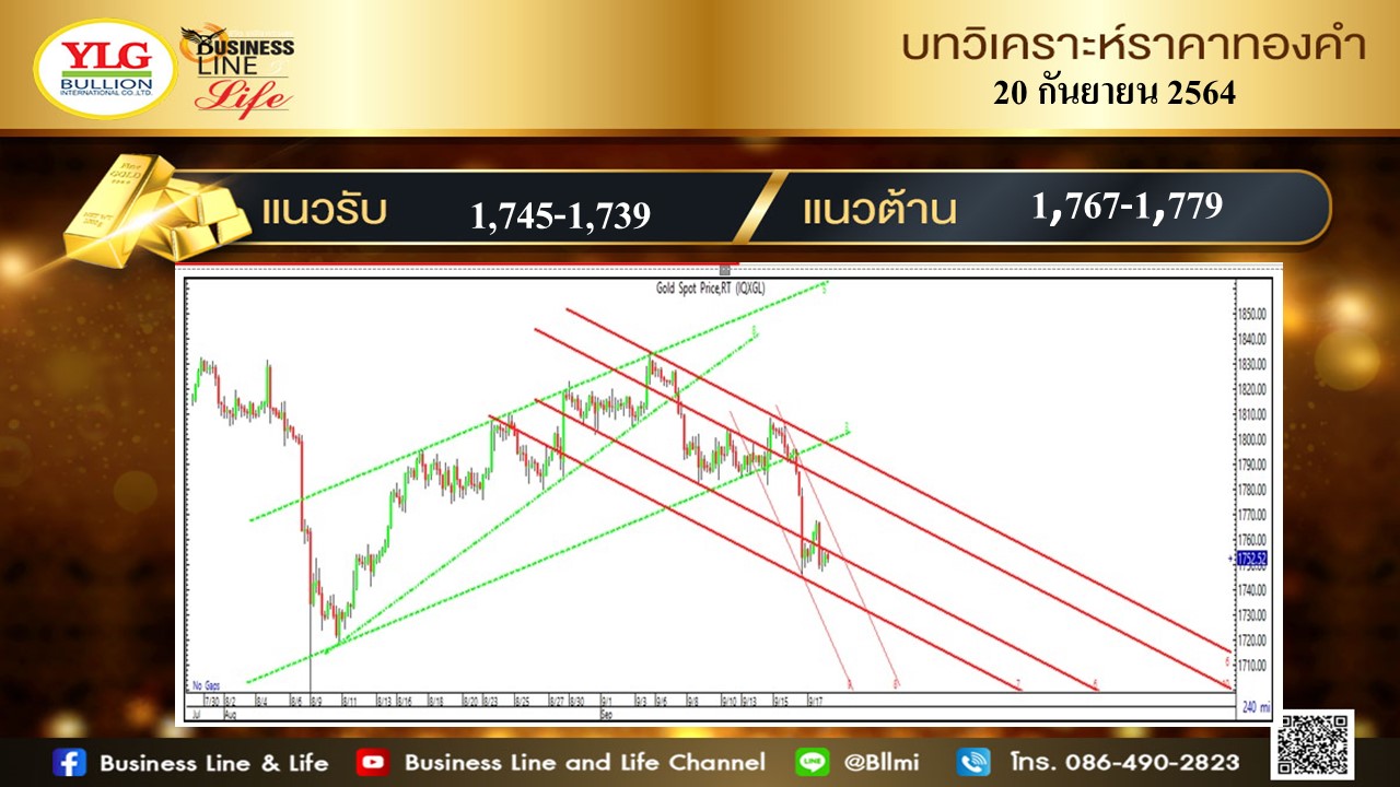 มุมมองทองคำ จาก YLG