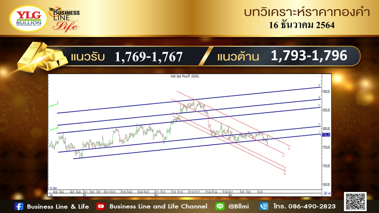 มุมมองทองคำ จาก YLG