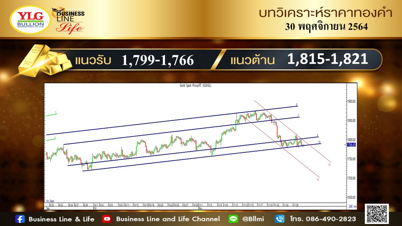 มุมมองทองคำ จาก YLG