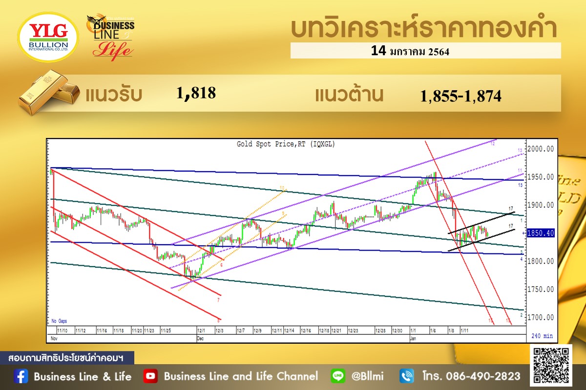 มุมมองทองคำ โดย YLG