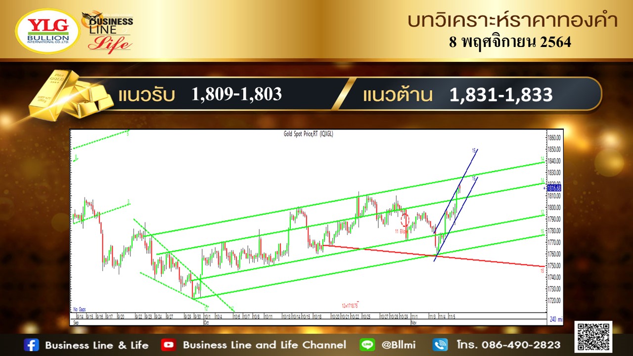 มุมมองทองคำ จาก YLG