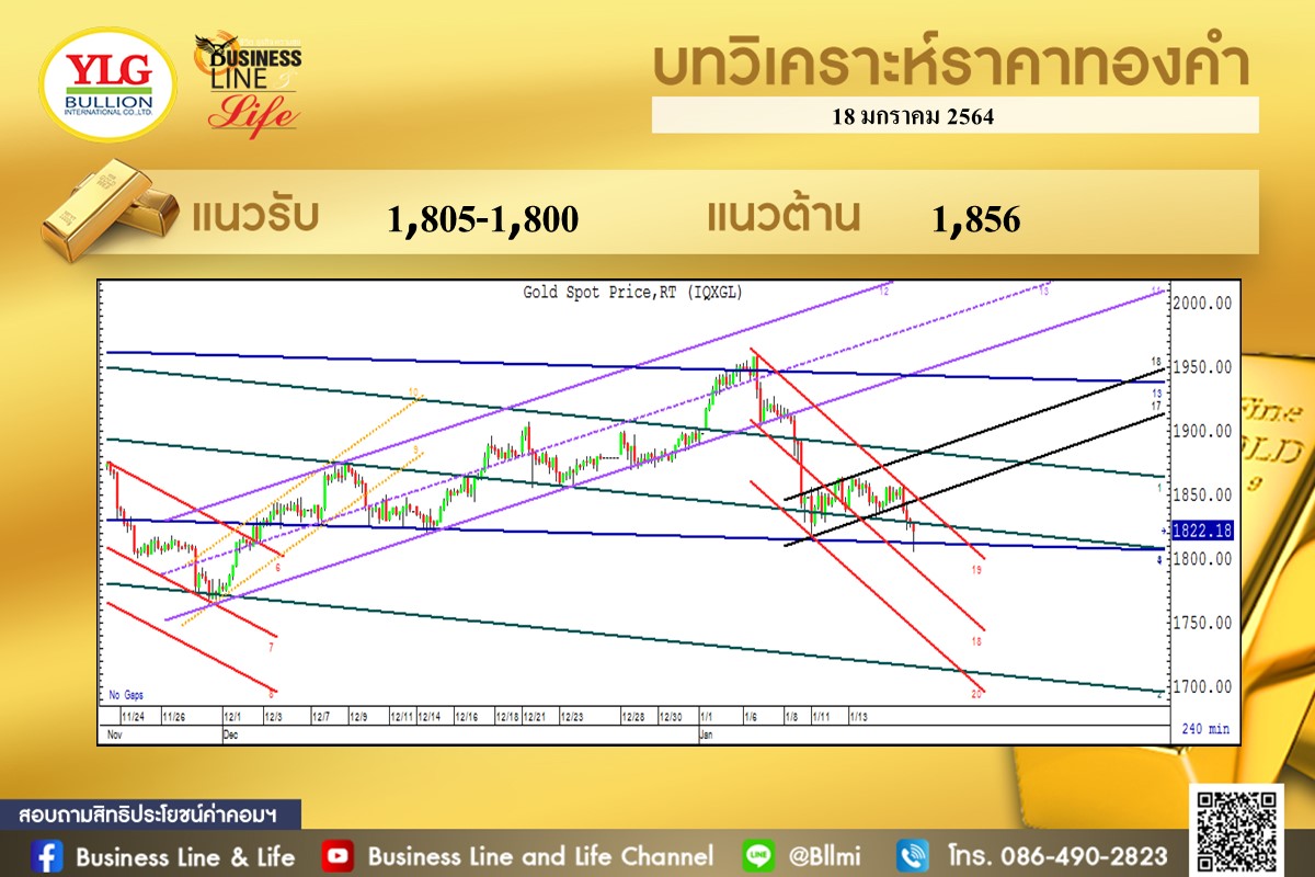 มุมมองทองคำ จาก YLG