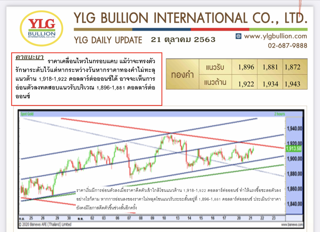 มุมมองทองคำ โดย YLG