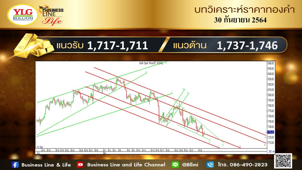 มุมมองทองคำ จาก YLG