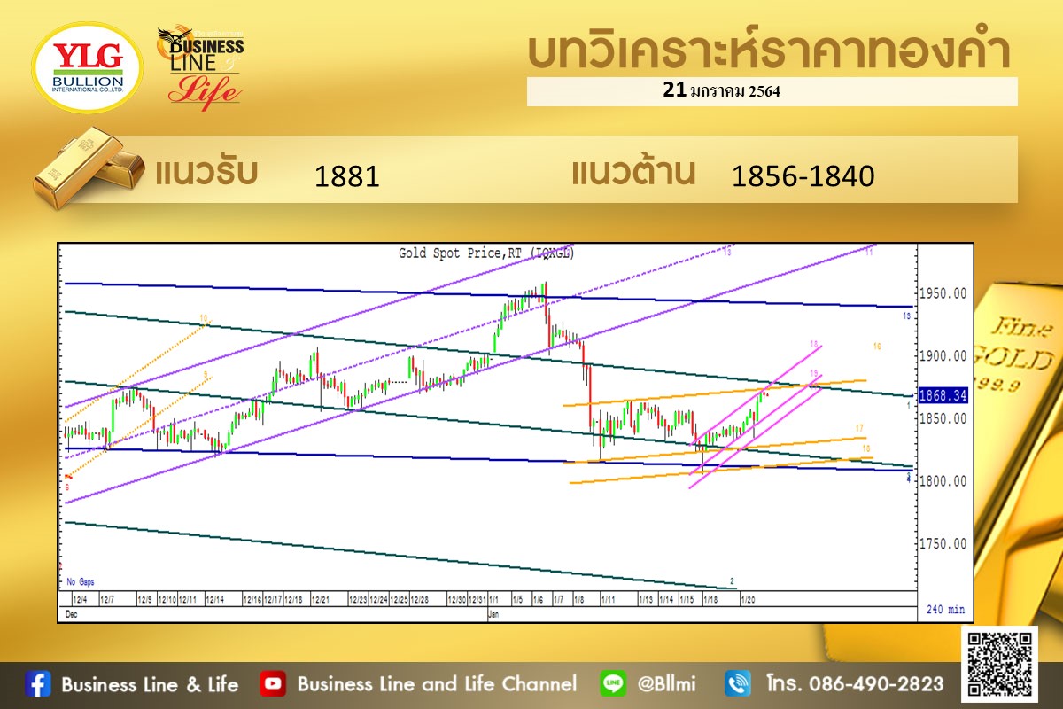 มุมมองทองคำโดย YLG