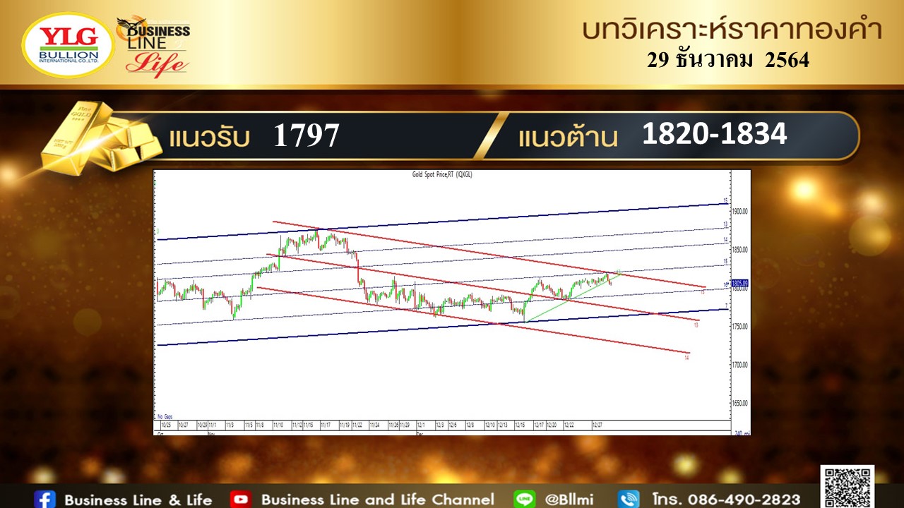 มุมมองทองคำ จาก YLG